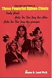 Lives and Times of Three Powerful Ojibwe Chiefs: Curly Head, Hole-in-the-Day the Elder and Hole-in-t by 
