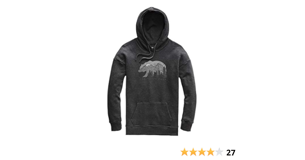 north face bearscape hoodie