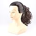 WeKen Hair Bun Medium Long Curly Synthetic Hairpiece Dark Brown