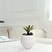 MyGift Modern Ceramic Planter, Small Round Garden Plant Container Pot, White