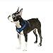 Gooby - Soft Mesh Harness, Small Dog Harness with Breathable Mesh, Blue, Medium