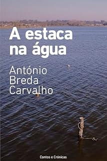 Livro A ESTACA NA ÁGUA: Contos e crónicas