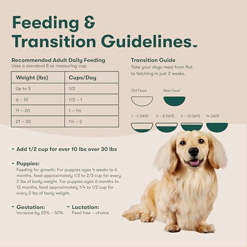 JINX PREMIUM GRAIN-FREE DRY DOG FOOD, FOR ALL LIFESTAGES – REAL SALMON, SWEET POTATO & CARROT PUPPY KIBBLE WITH SUPERFOODS FOR IMMUNE SUPPORT & PROBIOTICS FOR DIGESTIVE SUPPORT – NO FILLERS – 4LB