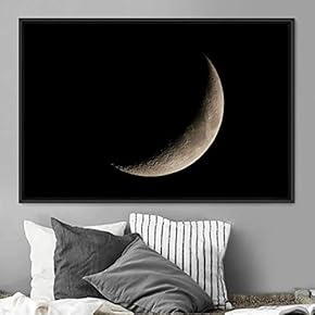 signwin Framed Canvas Wall Art Lunar Eclipse Aerial...
