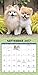 Boo Mini Wall Calendar (2017)
