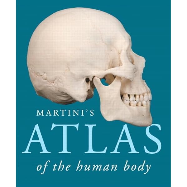 The Human Central Nervous System: A Synopsis and Atlas