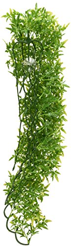 Zoo Med Naturalistic Bush Plant Bolivian Croton, Large