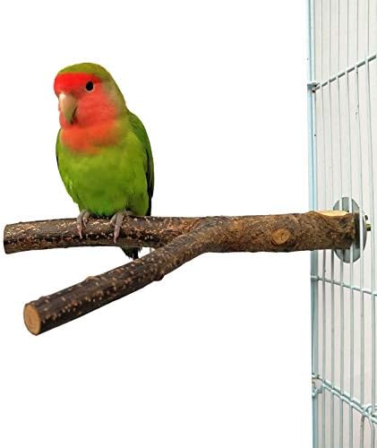 Wooden Parrot Toy, Bird Cage Perched On A Branch Branch Pet Budgie Hanging Toy