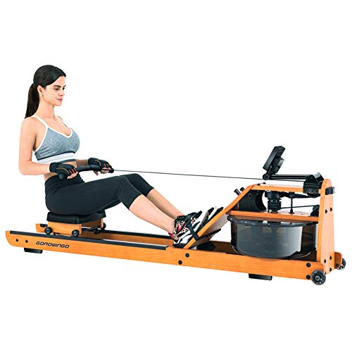 bear rowing machine