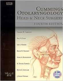los mapuches del siglo xviii dinámica