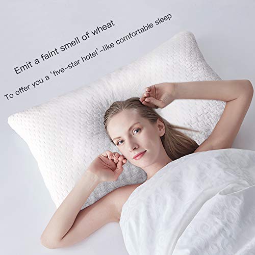 Fond Dream Hypoallergenic Memory Foam Bed Pillow Bamboo Queen Size Ivory Adjustable Loft Shredded Pillow for Home,Hotel Sleeping CertiPUR-US Certified (Single) - 28\'\'x 20\'\'