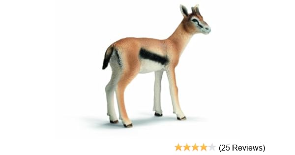 gazelle 25