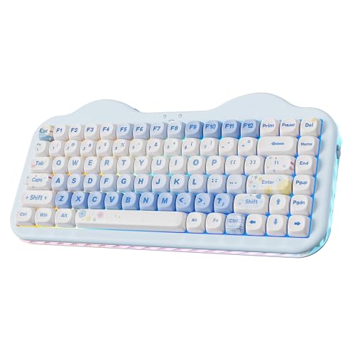 YUNZII C75 75% Kabelloses Mechanisch Gaming Tastatur (Blau, Candy Switch)