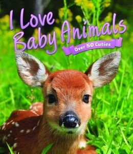 I Love Baby Animals Over 50 Cuties Pdf Isbn 10 1435155327 - 