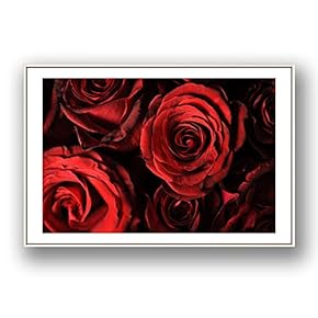 Framed Canvas Wall Art for Living Room, Bedroom Rose Flowers Canvas Prints for Modern Home Decoration Ready to Hang - 16"x24" inches