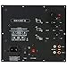 Yung SD100-6 100W Class D Subwoofer Plate Amplifier Module with 6 dB at 45 Hz