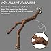 astolily Bird Standing Stick, Wild Grape Wood Pole Bird Cage Perches, Natural Wooden Stand Toy Branches for Cockatiels Parakeets Finchesthumb 4
