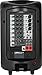 Yamaha STAGEPAS 400i Portable PA System Bundle with Speaker Stands, Cables, and Austin Bazaar Polishing Cloth