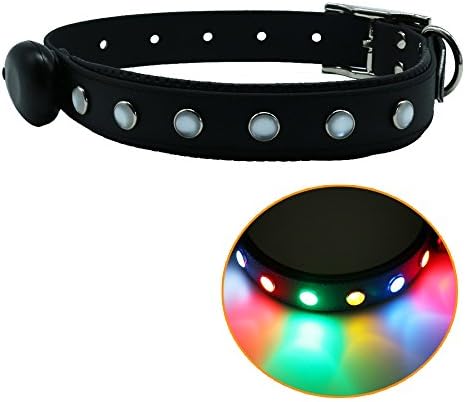 Waterproof LED Dog Collar Light Up Night Safety Collar USB Rechargeable Flash Colorful Light Pet collar For Hunting Made from PVC Coated Nylon Webbing