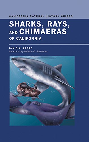 Sharks, Rays, and Chimaeras of California (Volume 71) (California Natural History Guides)