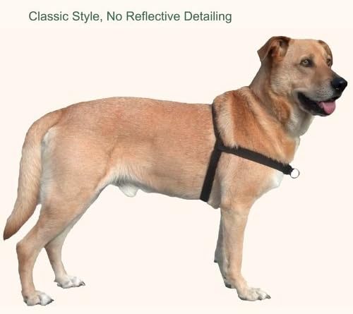 walk your dog with love harness