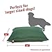 35×46 Green Super Value Pet Dog Bed By Majestic Pet Products Largethumb 2