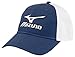Mizuno 2018 Tour Fitted Cap/Hat