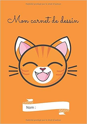Carnet De Dessin Chat Carnet De Dessin Chat Roux Orange Pour Enfant 100 Pages Vierge French Edition Walo Edition Amazon Com Books