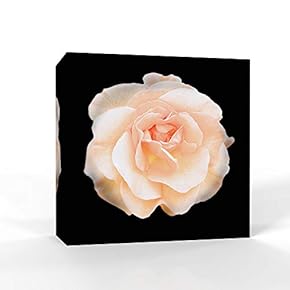 Wall26-Canvas Wall Art-Black Back Ground Flower-Giclee Painting Wall Bedroom Living House Decoration Home Art - 12x12 inches