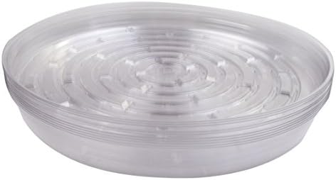 Curtis Wagner Round Clear Vinyl Plant Saucer (10, 13")