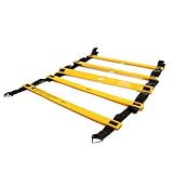 INSANITY: THE ASYLUM - Agility Ladder
