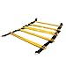 Beachbody Insanity: The Asylum – Agility Ladder