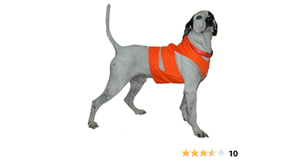 mud river dog vest