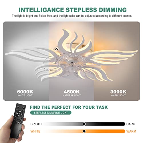 HUEOCZW Ceiling Fans with Lights and Remote，27