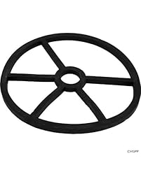 Pool Pump Replacement Parts & Accessories | Amazon.com