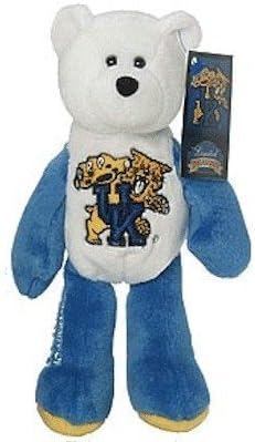 University of Kentucky Wildcats Bear