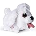 Chubby Puppies & Friends - Bumbling Puppies Plush - Poodle