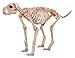 Crazy Bonez Skeleton Dog - Bruiser Bonez