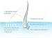 Biotopic Regrowth Serum, for Receding Hairline and Bald Spots, 1 Ounce