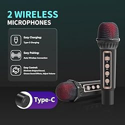 Fansbe Tech Portable Karaoke Machine 2