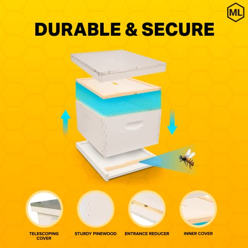 Mann Lake Complete Bee Hive Kit, Fully Assembled BeginnerFriendly Bee