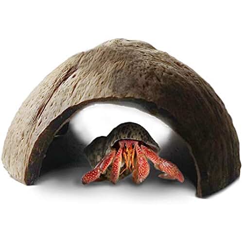hermit crab heater