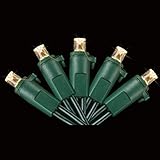 60 Count LED Dome String Lights - Warm White