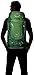 Osprey Kestrel 38 Backpack (Prior Season)