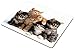 Smooffly Cats Mouse pad for Computers, Kittens Family Cats Mouse Pad