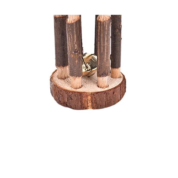 CCCYMM-6-Pcs-Pet-Natural-Wooden-Chew-Toys-Dumbells-Exercise-Bell-Molar-Toy-for-Parrot-Rabbit-Chinchilla-Guinea-Pig-Hamster-Small-Animals CCCYMM 6 Pcs Pet Natural Wooden Chew Toys Dumbells Exercise Bell Molar Toy for Parrot, Rabbit, Chinchilla, Guinea Pig…