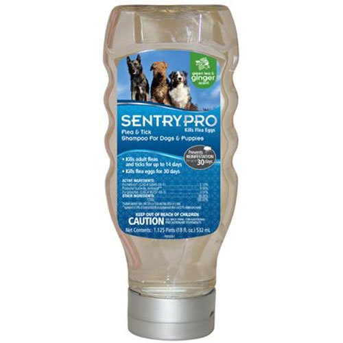 SENTRY PRO Flea and Tick Shampoo for Dogs, 18 oz