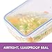 LOCK & LOCK Easy Essentials Storage Food Storage Container Set/Food Storage Bin Set, Clear, 20 Oz (Pack of 6)