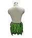 HPO Adult Men's Maui Aloha Green Leaf Cosplay Costume HC-146 (Medium)