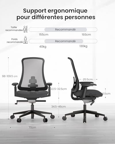 ProtoArc Ergonomic Office Chair High Back Mesh Office Chair Breathable Swivel Chair with Dual Adjustable Lumbar Support, 4D Armrests, Sliding Seat (Flexer Pro - Black)